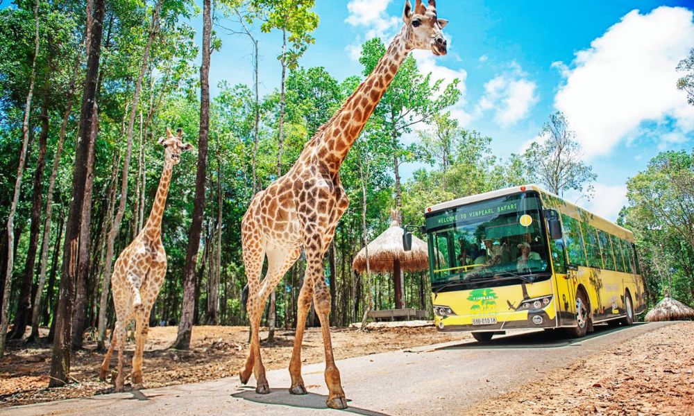 phu-quoc-in-december